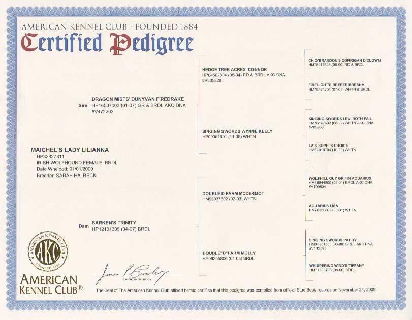 Lilianna certified pedigree